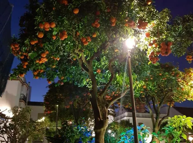 شقة Puerto Marina Bay